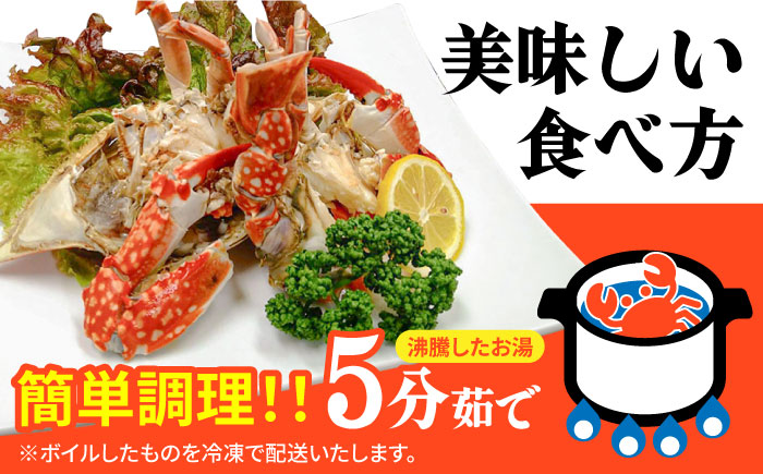 【2026年7月〜発送】【数量限定】有明海のワタリガニ 200g～300g×5匹前後 / 南島原市 / 長栄丸水産 [SFM001]