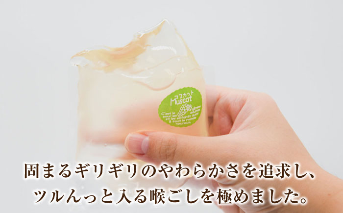 【2026年5月〜発送】【固まるギリギリのやわらかさを追求】ぷるぷるゼリー 12個入り / ゼリー ぜりー フルーツゼリー 果実ゼリー 食べ比べ / 南島原市 / 松本製菓舗 [SFV002]