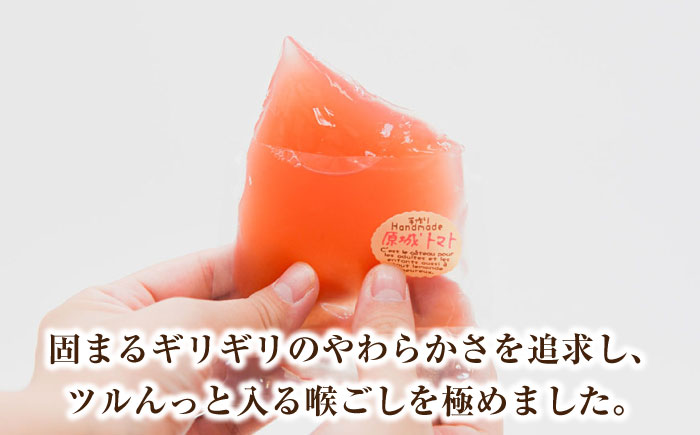 【2026年5月～発送】原城トマトゼリー 6個入り / ゼリー ぜりー デザート とまと おやつ / 南島原市 / 松本製菓舗 [SFV007]