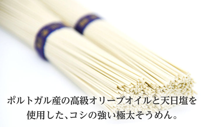 原城 極太そうめん 露草四朗 900g（75g×12束） /  手延べ 麺 / 南島原市 / 銀之霊泉 [SFW002]