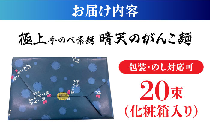 極上手のべ「晴天のがんこ麺」50g×20束入 1kg / そうめん 手延べ 麺 / 南島原市 / 入江商店素麺本舗 [SFX001]
