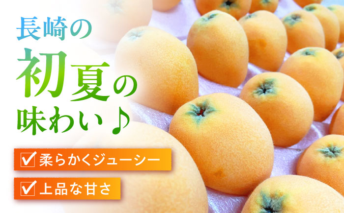 【2025年3月下旬?発送】【数量限定】長崎ハウス びわ 約1kg（約260g × 4p） / フルーツ びわ ビワ 枇杷 / 南島原市 / O' Berry! [SGA002]