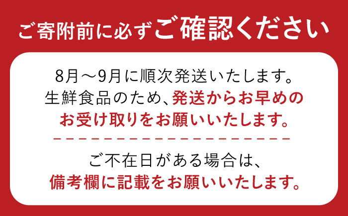 【2025年8月〜発送】【ジューシーな果肉！スッキリとした甘さ！】いちじく 1パック3玉×4パック 約1.1kg / ドーフィン イチジク いちじく 無花果 果物 フルーツ / 南島原市 / 本多農園 [SGD001]