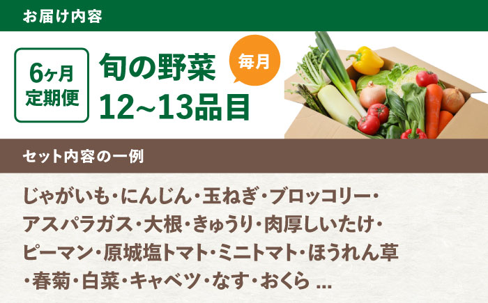 【6回定期便】野菜のプロが選ぶ 旬の野菜セット 12～13品目 野菜定期便 / 野菜 やさい セット 新鮮 / 南島原市 / 愛2農園 [SGG003]
