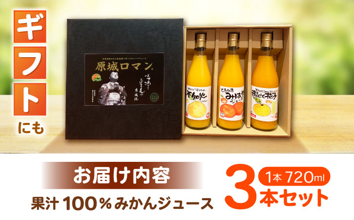 【ギフトにぴったり！】果汁100% みかんジュース 3本セット 720ml/本 / ギフト 贈答 ミカンジュース じゅーす 果実飲料 蜜柑 柑橘 果物 フルーツ / 南島原市 / はじめ農園 [SGK003]
