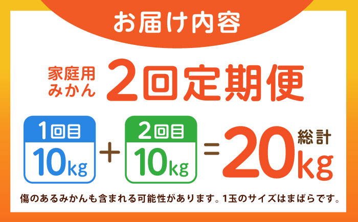 【2回定期便】家庭用 みかん 約10kg（計約20kg） / ミカン 蜜柑 果物 フルーツ / 南島原市 / はじめ農園 [SGK004]