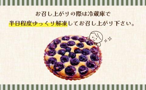 【2026年8月中旬～発送】【予約制のタルト専門店】焼き葡萄のタルト / ぶどう タルト たると ケーキ タルトケーキ スイーツ デザート / 南島原市 / アトリエジジ [SAA001]