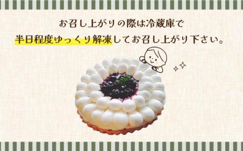 【2026年1月～発送】【舌にあふれる季節感♪こだわりのサクサクタルト】ブルーベリーとムースフロマージュのタルト / タルト たると ケーキ タルトケーキ スイーツ デザート / 南島原市 / アトリエジジ [SAA005]