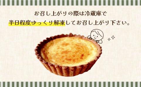 【2026年1月～発送】【舌にあふれる季節感♪こだわりのサクサクタルト】プレミアム チーズタルト / タルト スイーツ 洋菓子 ケーキ / 南島原市 / アトリエジジ [SAA008]