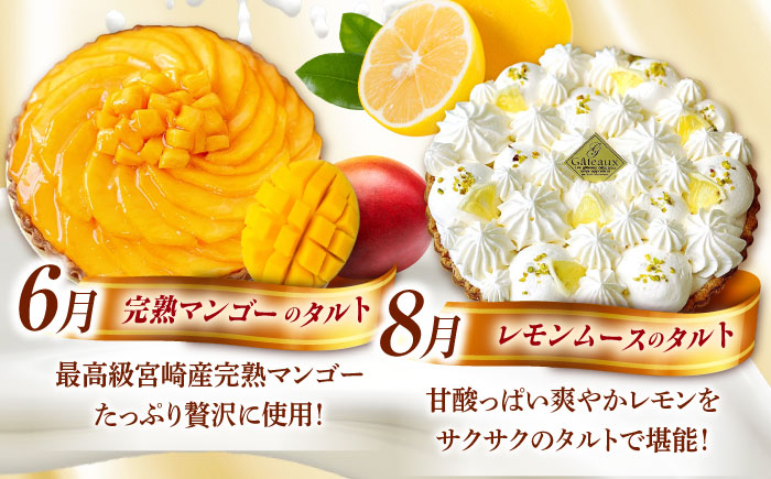 【偶数月 5回定期便】季節の タルト 定期便 / ティラミス お菓子 ケーキ チョコレート マンゴー レモン タルト フルーツ 旬 スイーツ 南島原市 / アトリエジジ [SAA034]