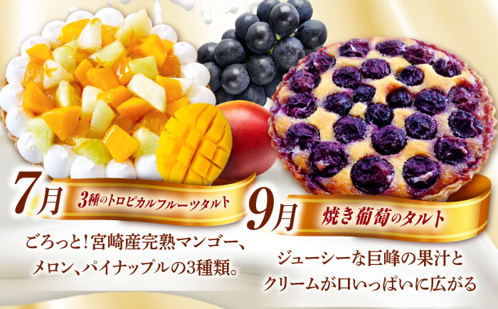 【奇数月 5回定期便】 季節の タルト 定期便 / タルト フルーツ 旬 スイーツ メロン 果物 モンブラン チーズタルト / 南島原市 / アトリエジジ [SAA035]