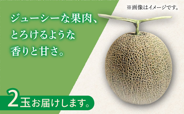 【2026年11月中旬～発送】アールス メロン (2玉) / 青肉 果物 フルーツ / 南島原市 / JA島原雲仙東南部基幹センター [SAC004]