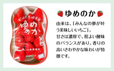【2026年1月～発送】 いちご 2種類 食べ比べ 約250g×4P / ゆめのか こいみのり 果物 フルーツ / 南島原市 / JA島原雲仙東南部基幹センター[SAC006]