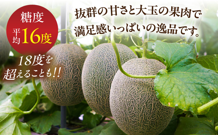 【2026年7月初旬～発送】グリーンメロン 2玉 約4kg / メロン めろん 果物 フルーツ / 南島原市 / うえだメロン園 [SAD010]