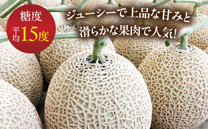 【2026年7月下旬～発送】アールスメロン 2玉 約3.2kg / メロン めろん 果物 フルーツ / 南島原市 / うえだメロン園 [SAD011]