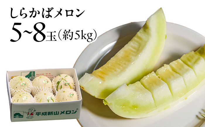 【4回定期便】【2026年3月中旬～発送】＜メロン食べ比べ＞平成新山メロンPREMIUM（とみちゃん厳選）パパイヤ しらかば グリーン アールス / 果物 フルーツ 青肉 / 南島原市 / うえだメロン園 [SAD012]