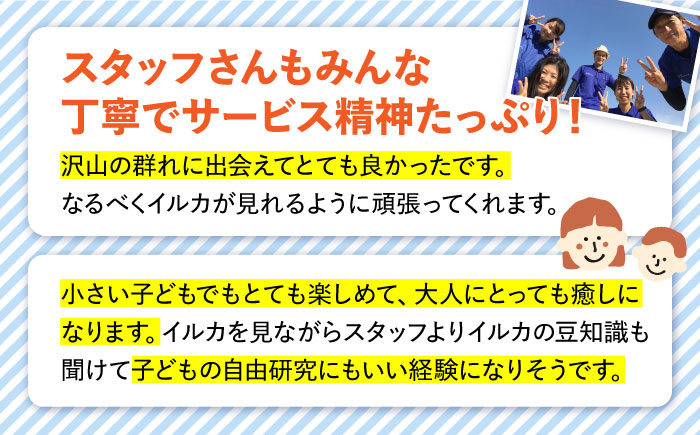 南島原 イルカウォッチング  子ども用 1人用 チケット / イルカ 観光 南島原市 / 南島原イルカウォッチング [SAE003]