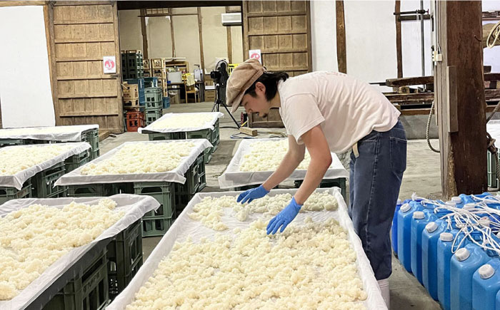 【甘口タイプがお好みの方に人気】日本酒 清泉石上流 純米大吟醸・はねぎ搾り萬勝 純米吟醸 各720ml / 日本酒 にほんしゅ 酒 お酒 おさけ お試し 晩酌 日本酒 飲み比べ / 南島原市 / 酒蔵吉田屋 [SAI006]