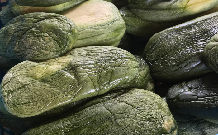 酒蔵 の 奈良漬 2kg / 漬物 おつまみ 日本酒 / 南島原市 / 酒蔵吉田屋 [SAI019]