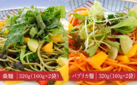 クラフトパスタ バラエティセット 詰め合わせ / 南島原市 / 本多製麺 [SAV007]