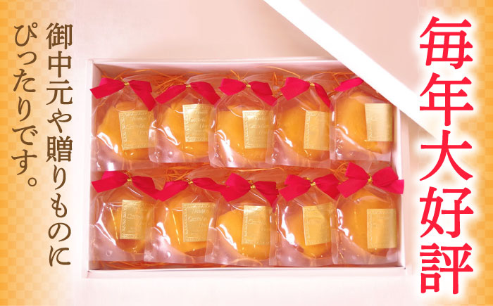 【2026年5月上旬〜発送】【夏季限定】茂木びわ ゼリー 10個入 / びわ ビワ ゼリー フルーツ 果物 ギフト 贈答 お中元 / 南島原市 / 本田屋かすてら本舗 [SAW040]