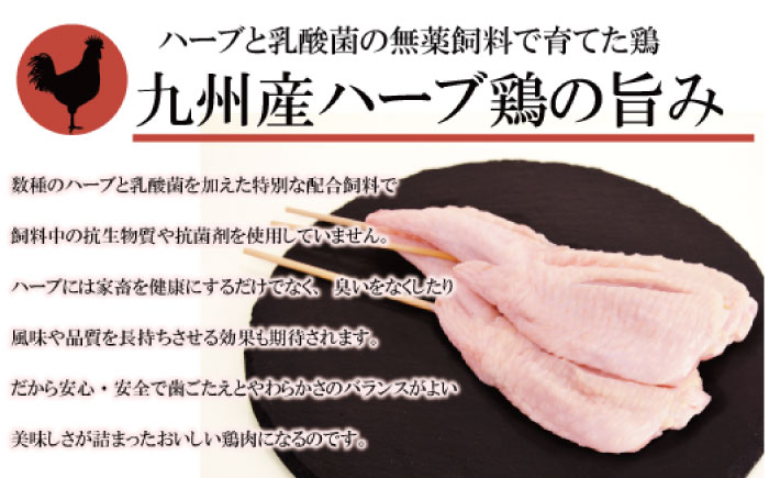 【3回定期便】【おうちで 焼き鳥 屋さん！】 串焼き 盛り合わせ 6種類 30本セット / やきとり ヤキトリ 焼鳥 串セット 国産 冷凍 小分け / 南島原市 / ふるさと企画 [SBA024]