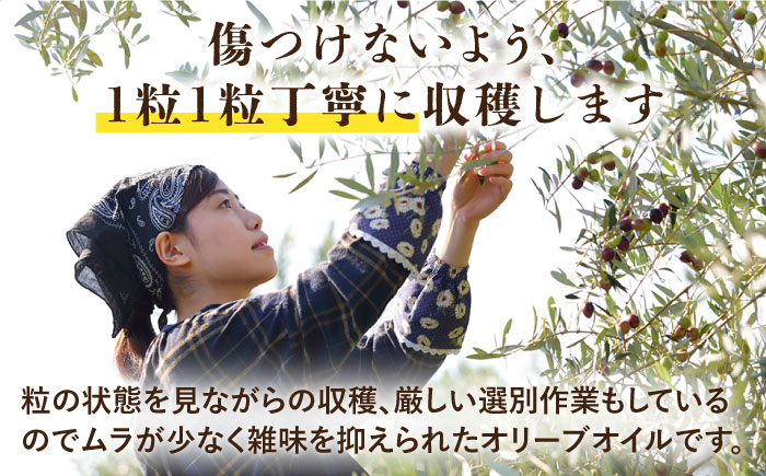 （3回定期便）【国産 手摘み 100% 】南島原産 オリーブオイル  S島原  / オリーブ オイル 油 あぶら 食用油 / 南島原市 / ふるさと企画 [SBA064]