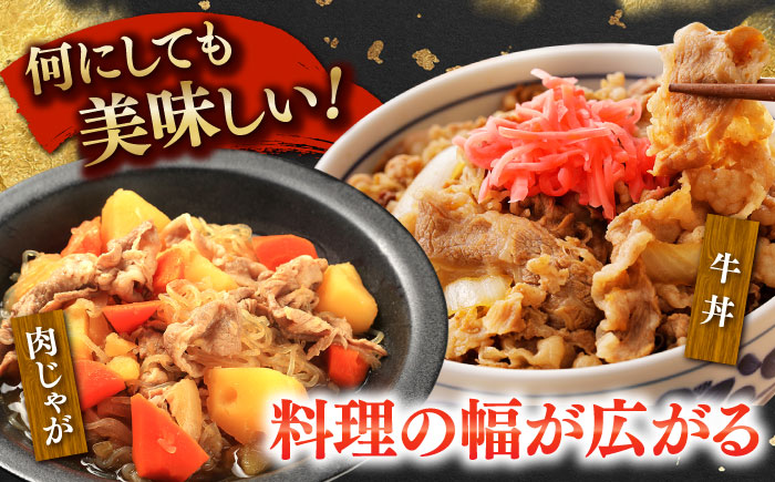 【2026年1月～順次発送】国産 黒毛和牛 熟成肉 切り落とし 500g / 小分け 国産牛 お肉 牛肉 切落し 冷凍 焼肉 すき焼き / 南島原市 / ふるさと企画 [SBA094]