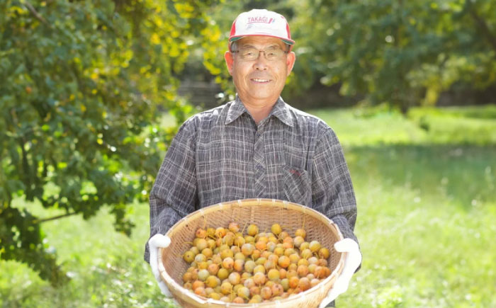 殻付 銀杏 1kg / 冷凍 野菜 南島原市 / セミナリヨの丘銀杏畑 [SBC001]