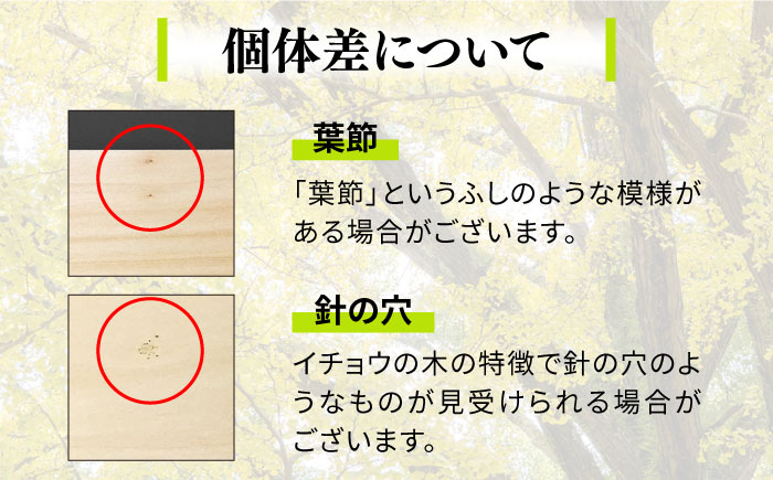 【水切りに便利な壁掛け穴】イチョウ まな板 （甥） / 南島原市 / 森永材木店 [SBK010]