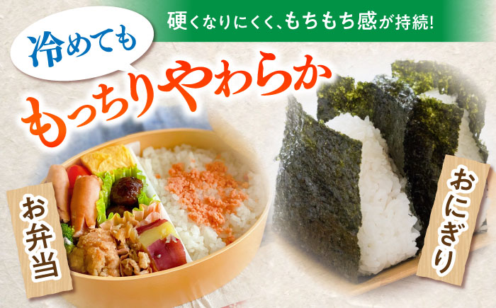 【特別栽培米】 ヒノヒカリ 15kg (5kg×3袋) / 米 精米 白米 ごはん ご飯 ひのひかり / 南島原市 / 農家民宿　いちご一会 [SBN003]