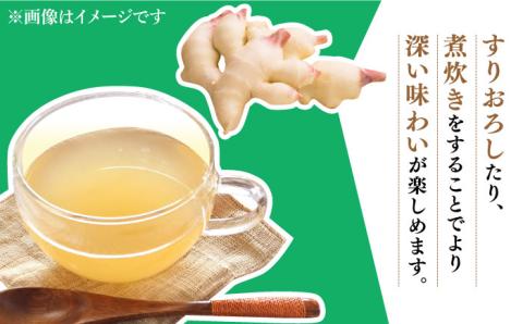 【2026年8月～発送】新生姜 約6kg / ショウガ しょうが 生姜 / 南島原市 / ふくはちファーム / 福島農園 [SBS020]