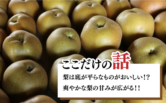 【2024年7月～発送】【みずみずしくて甘い！】幸水梨 約5kg (約14玉～16玉)  / フルーツ 果物 デザート 産地直送 期間限定 果肉 / 南島原市 / 藤原果樹園 [SBV001]