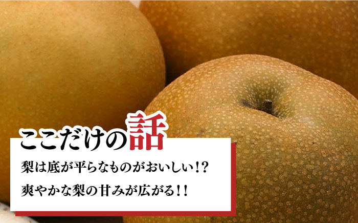 【2024年8月～発送】【甘味の中にほのかな酸味！】豊水梨 約5kg (約12玉～14玉)  / フルーツ 果物 デザート 産地直送 期間限定 / 南島原市 / 藤原果樹園 [SBV002]