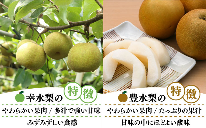 2025年7月～発送】【4回定期便！南島原の 梨 を 食べ比べ ！】幸水