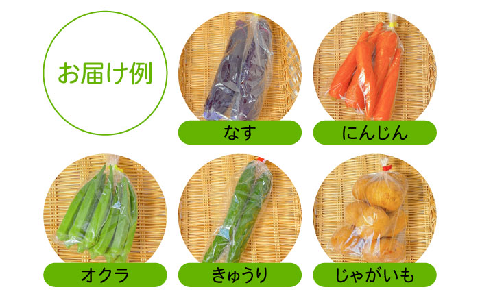 【12回定期便】直売所より発送！お米と季節の野菜セット 8品目 / 米 こめ 白米 野菜定期便 野菜 やさい 旬 詰め合わせ / 南島原市 / ながさき南部生産組合 [SBW015]