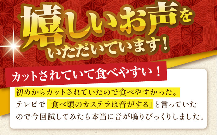 【極上】和三盆糖「長崎五三焼かすてら」2本 伊藤代二作 烏骨鶏卵使用 / カステラ 長崎カステラ ギフト / 南島原市 / 株式会社須崎屋 [SCA021]