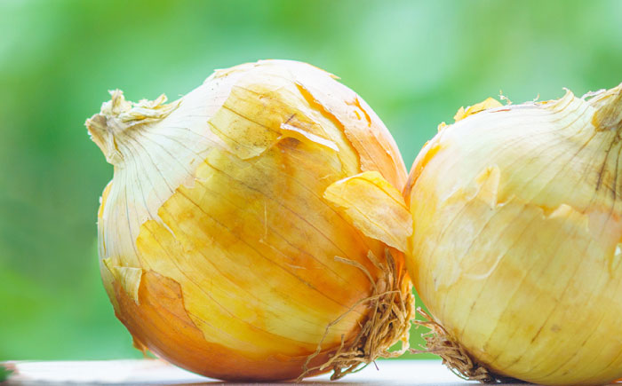 【2026年3月?発送】【甘くてジューシー 】新たまねぎ 先行予約 サラダ たまねぎ 5kg  / 南島原市 / 長崎県農産品流通合同会社 [SCB025]