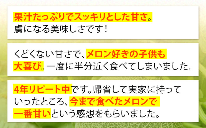 【2026年6月中旬～発送】肥後 グリーンメロン 大玉 2玉 (合計4kg以上) / フルーツ 果物 / 南島原市 / 長崎県農産品流通合同会社 [SCB063]