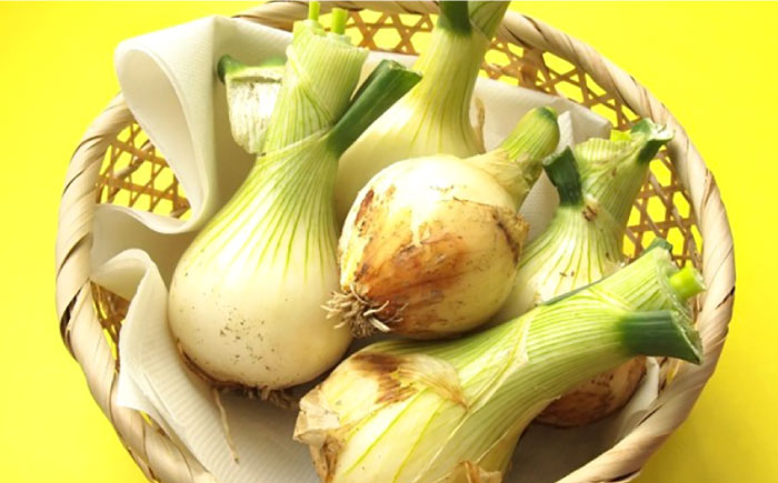 【2026年5月下旬～発送】【先行予約！】春の万能野菜セット 約5kg / じゃがいも ジャガイモ たまねぎ 玉ねぎ タマネギ にんじん 人参  旬野菜 詰め合わせ / 南島原市 / 長崎県農産品流通合同会社 [SCB064]