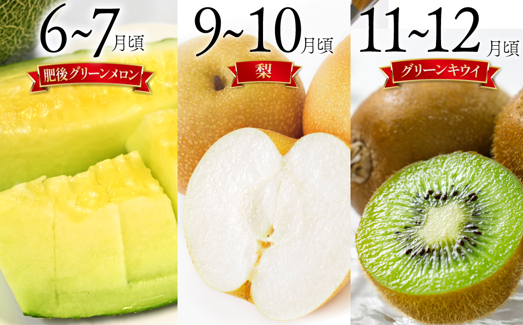 【6回定期便 Aコース】フルーツ定期便 旬のフルーツセット / いちご 柑橘類 スイカ メロン 梨 キウイ / 詰め合わせ 春フルーツ 夏フルーツ 秋フルーツ 冬フルーツ / 南島原市 / 長崎県農産品流通合同会社 [SCB065]