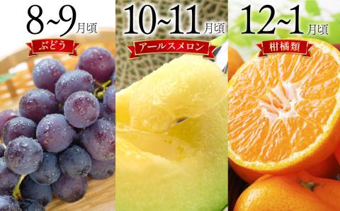【6回定期便 Bコース】フルーツ定期便 旬のフルーツセット / フルーツ 詰め合わせ 春フルーツ 夏フルーツ 秋フルーツ 冬フルーツ / 南島原市 / 長崎県農産品流通合同会社 [SCB066]