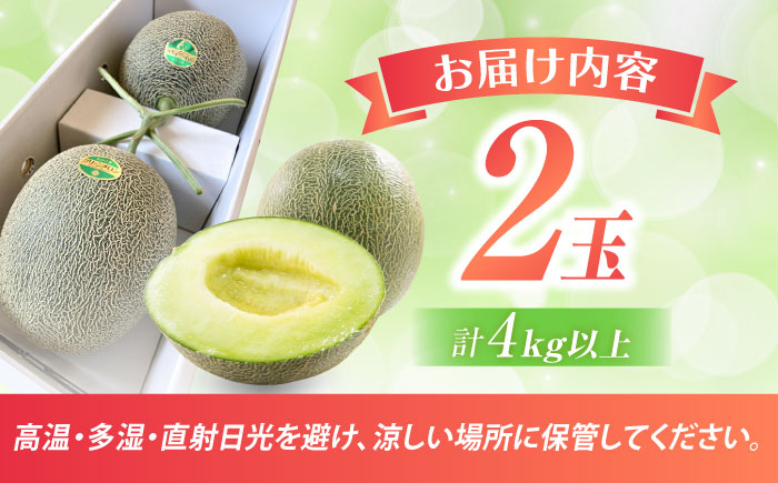 【2026年5月中旬～発送】肥後グリーンメロン 2玉（合計4kg以上））/ 果物 フルーツ / 南島原市 / 長崎県農産品流通合同会社 [SCB088]