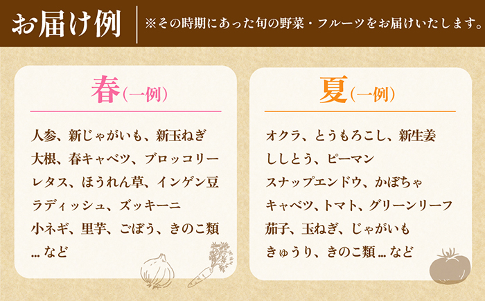 【12回定期便】　「旬の野菜・フルーツ」 詰め合わせ セット（13品～15品）/ 野菜 定期便 やさい 定期便 野菜セット やさいセット 春野菜 夏野菜 秋野菜 冬野菜 旬新鮮 / 南島原市 /長崎県農産品流通合同会社 [SCB093]