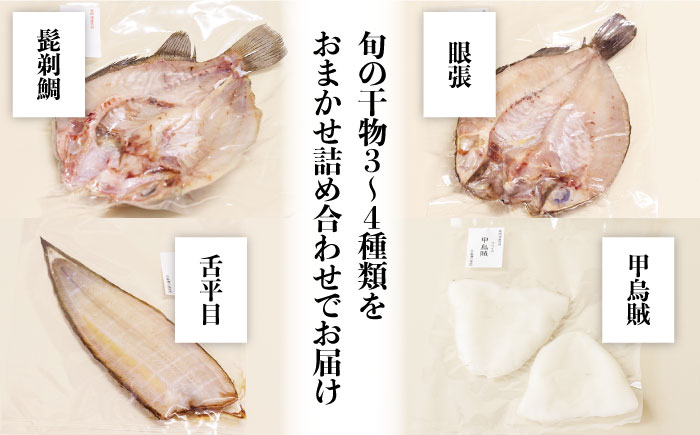 【職人の技】旬の干物 詰め合わせ 3～4種（6～8パック）×2セット / 魚 干物 干もの セット  / 南島原市 / ながいけ [SCH049]