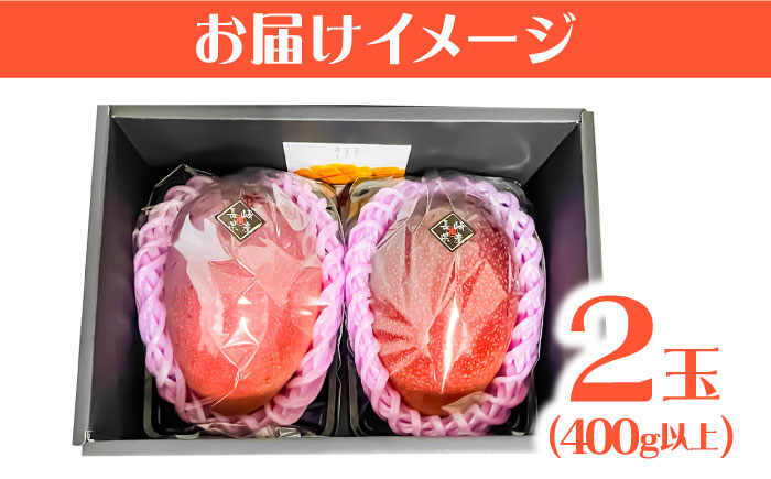 【2026年7月～発送】南島原産完熟マンゴー２玉 / フルーツ ふるーつ 果物 くだもの / 南島原市 / ながいけ [SCH064]