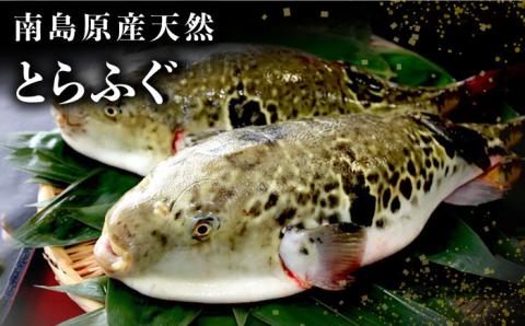 【2026年4月～発送】南島原産 天然 とらふぐ 刺身 5～6人前 ×2 Wセット（2箱） / ふぐ フグ トラフグ ふぐアラ 魚 ヒレ酒  / 南島原市 / 大和庵 [SCJ020]
