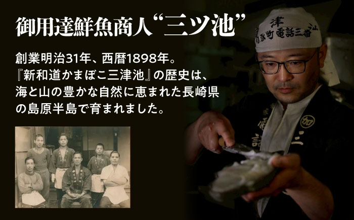 【長崎南島原名物】かまぼこ5種 (長寿村・ジパングセット) / 蒲鉾 ヘルシー 魚介類 練り物 / 南島原市 / 三ツ池 [SCK020]