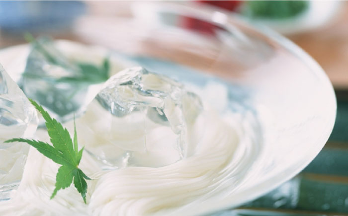 【宮内庁献上】手延べそうめん 2種 詰め合せ 川上の糸 計5箱 / 九州産小麦粉100％ 乾麺 めん 麺 ギフト 贈り物 / 南島原市 / 川上製麺 [SCM010]