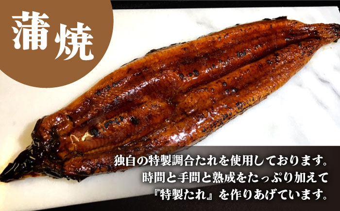 【須川屋台道場】うなぎ 蒲焼・白焼 2尾 セット  / うなぎ ウナギ 鰻 蒲焼 白焼 / 南島原市 / はなぶさ [SCN008]